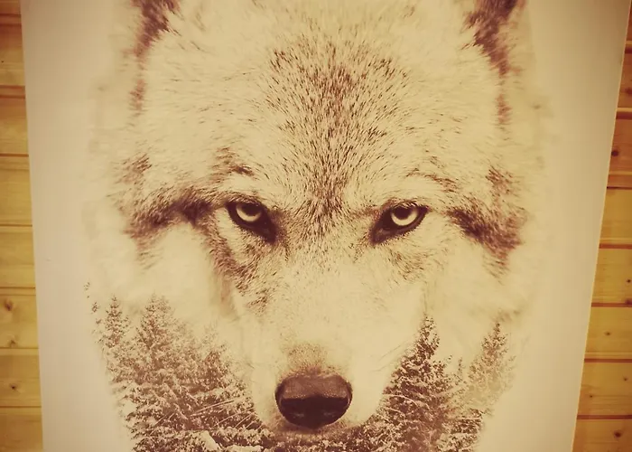 Chalet The Dream Catcher -spa- Panoramic Sauna- 2 Minutes From The Slopes