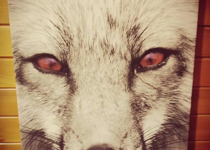 The Dream Catcher -spa- Panoramic Sauna- 2 Minutes From The Slopes La Bresse